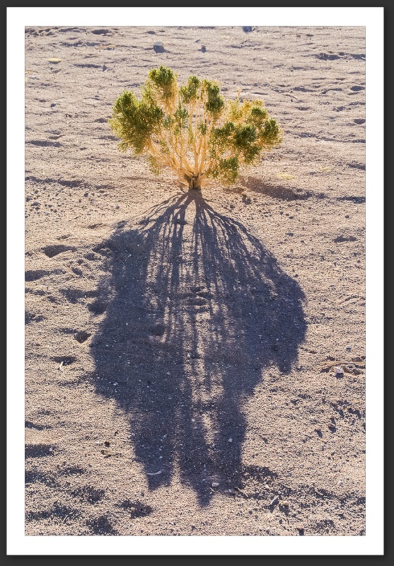 Paysage Bolivie Amérique du Sud