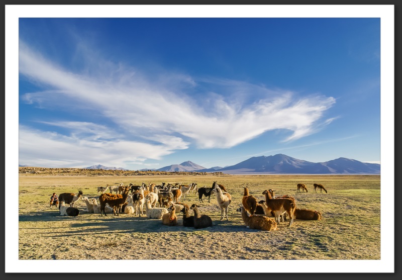Paysage Bolivie Amérique du Sud