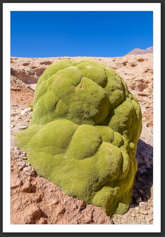 Paysage Bolivie Amérique du Sud