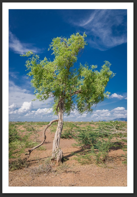 Kakuma Turkana Kenya Paysages UNHCR Refugee Camp