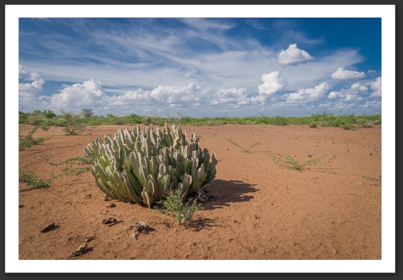 Kakuma Turkana Kenya Paysages UNHCR Refugee Camp