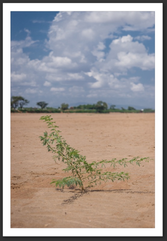 Kakuma Turkana Kenya Paysages UNHCR Refugee Camp