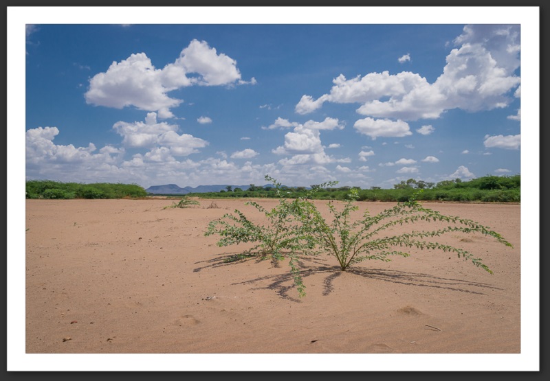 Kakuma Turkana Kenya Paysages UNHCR Refugee Camp