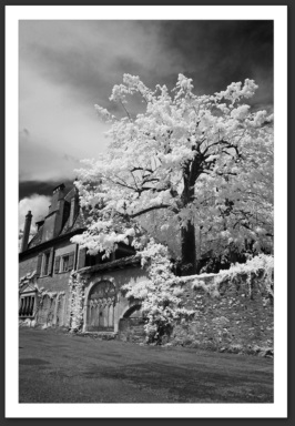 Photographie Infrarouge