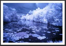 Photographie Infrarouge