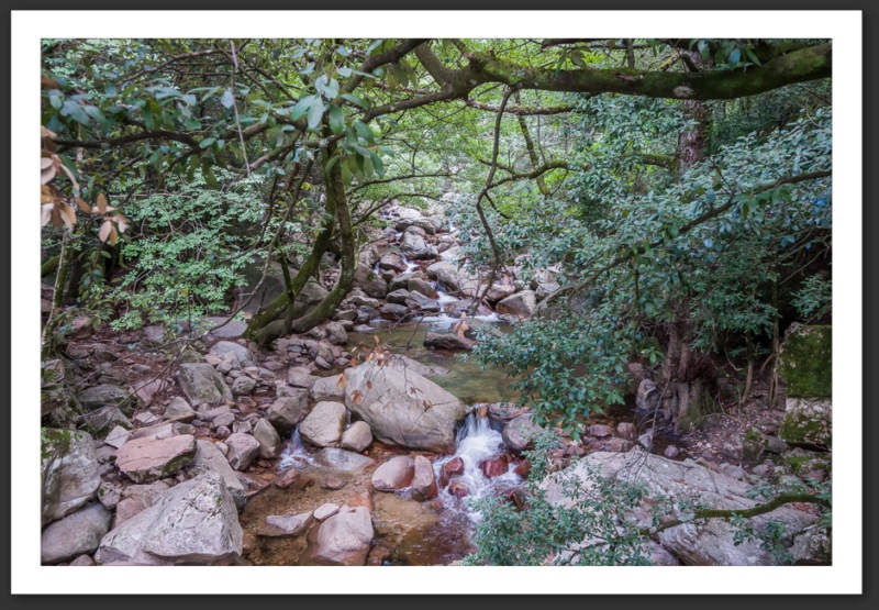 Galeria Girlotta Corse Bastia Centuri Cap Corse Calvi Porto Îles Sanguinaires Myrte Vin Mer Méditerrannée