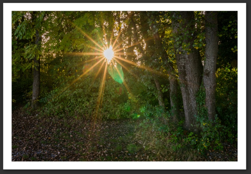 Point du Grain Bevaix