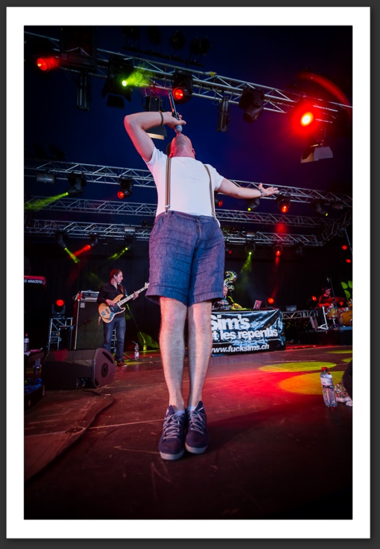 Sim's et les repentis Festi'neuch 2012