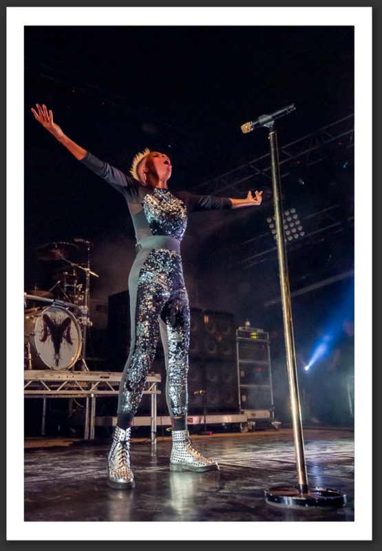 Skunk Anansie Caribana festival 2013 musique