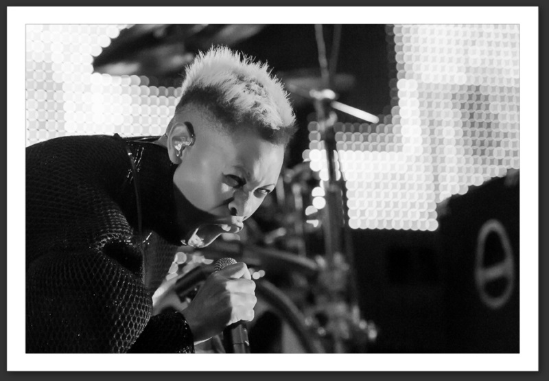 Skunk Anansie Caribana festival 2013 musique