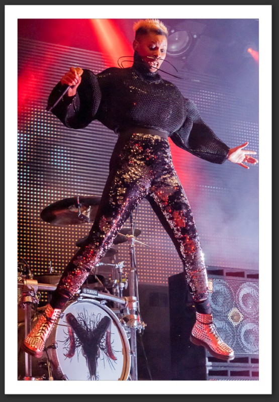 Skunk Anansie Caribana festival 2013 musique