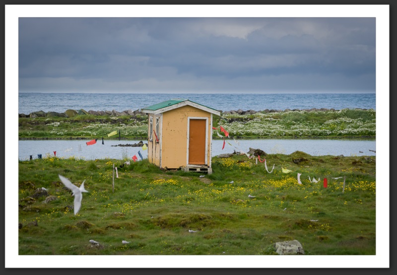 Islande Reykjavik Akureyri Eyjafjallajökull geyser volcan glacier 