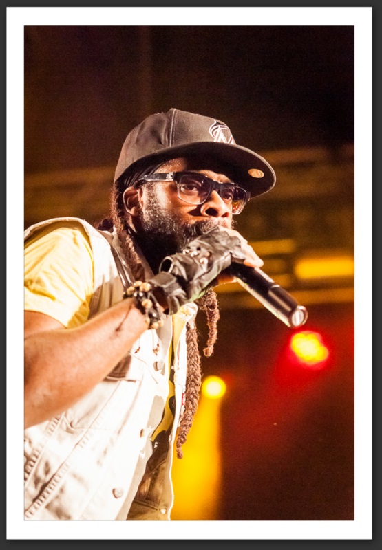 Tarrus Riley Caribana festival 2013 musique
