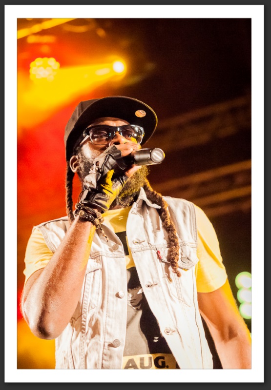 Tarrus Riley Caribana festival 2013 musique