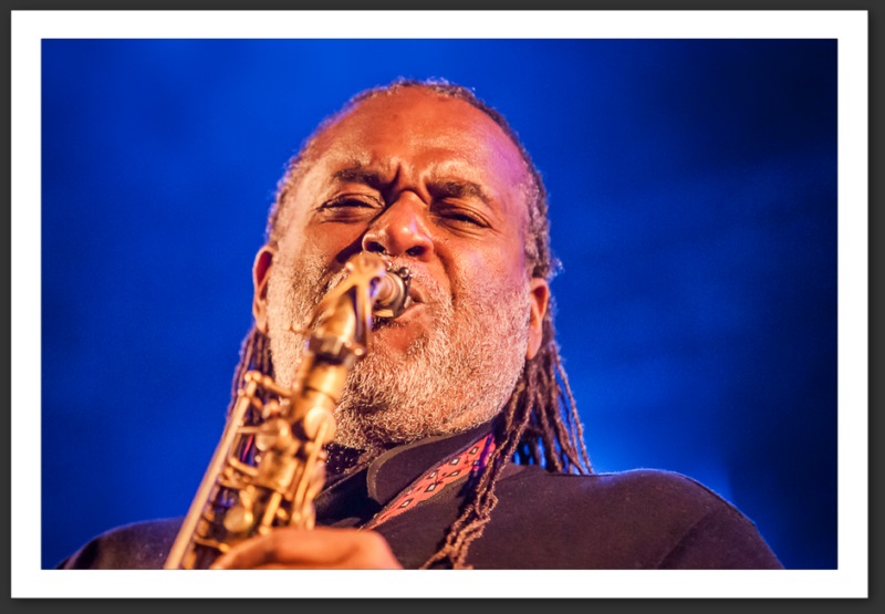 Tarrus Riley Caribana festival 2013 musique