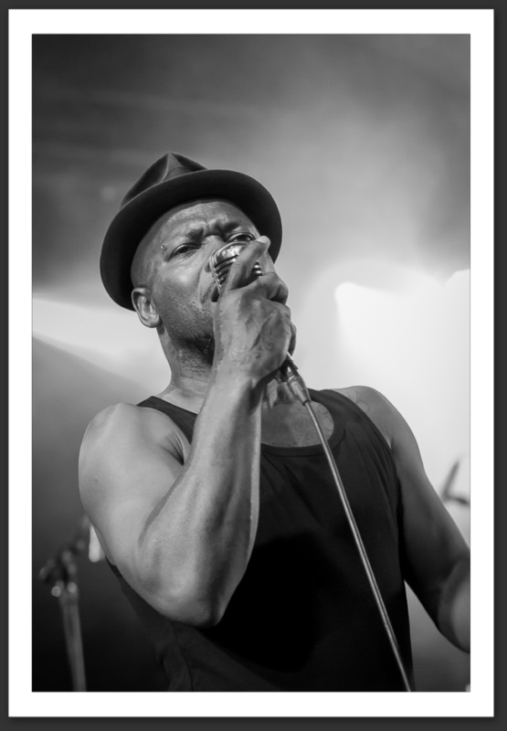 The Heavy Caribana festival 2013 musique