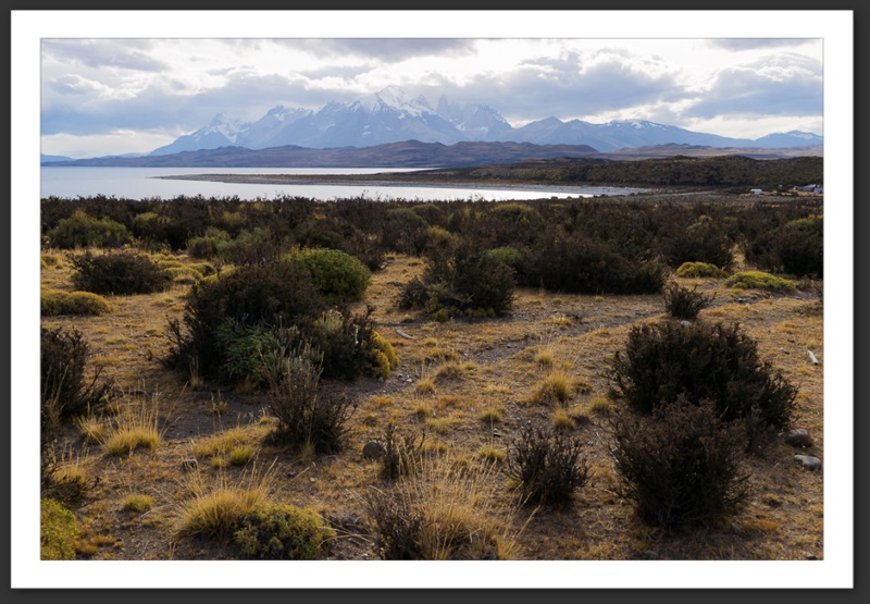 Torres del Paine