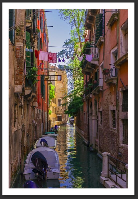 venise venice venezia vogalonga pont rialto soupirs 