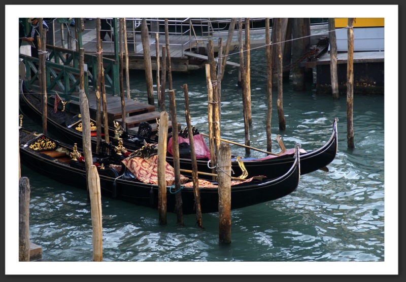 venise venice venezia vogalonga pont rialto soupirs 
