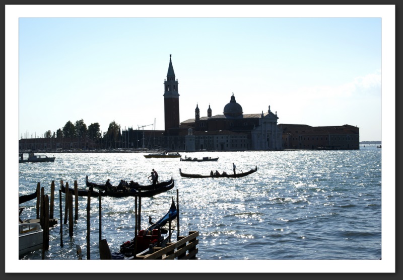 venise venice venezia vogalonga pont rialto soupirs 