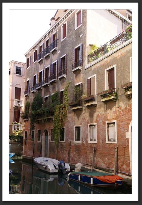venise venice venezia vogalonga pont rialto soupirs 